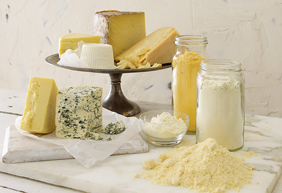 HalfWidth_FoodIngredients_DairyPowders_570x390px_ART